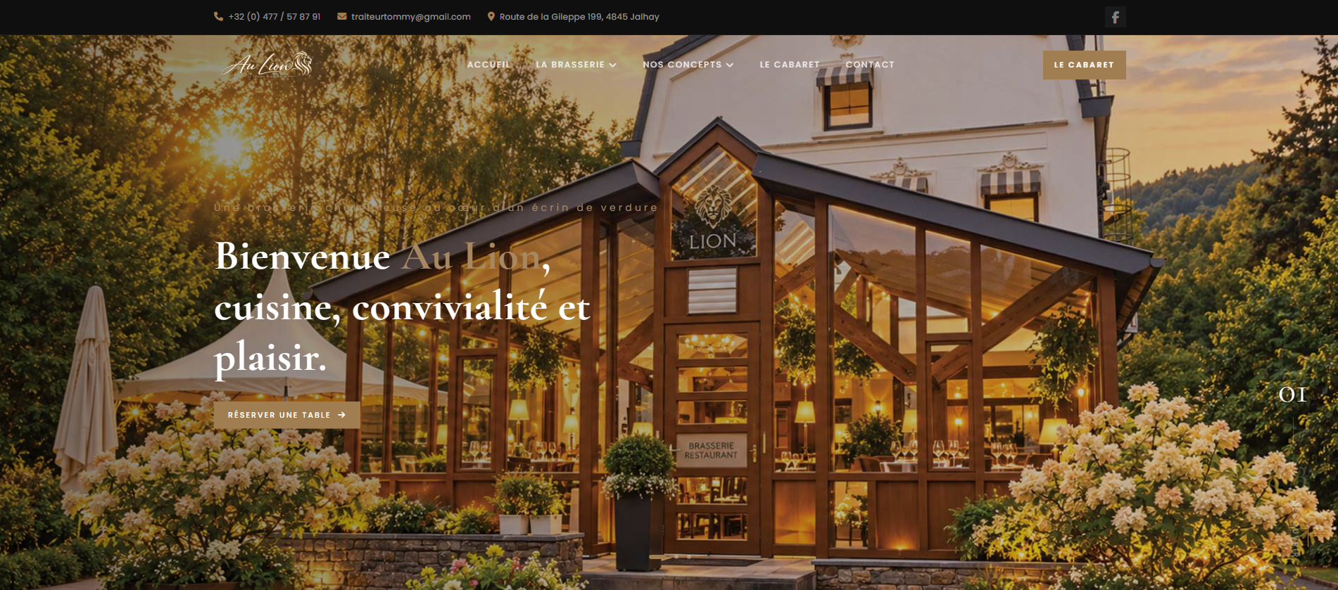 Capture réelle du site Au Lion